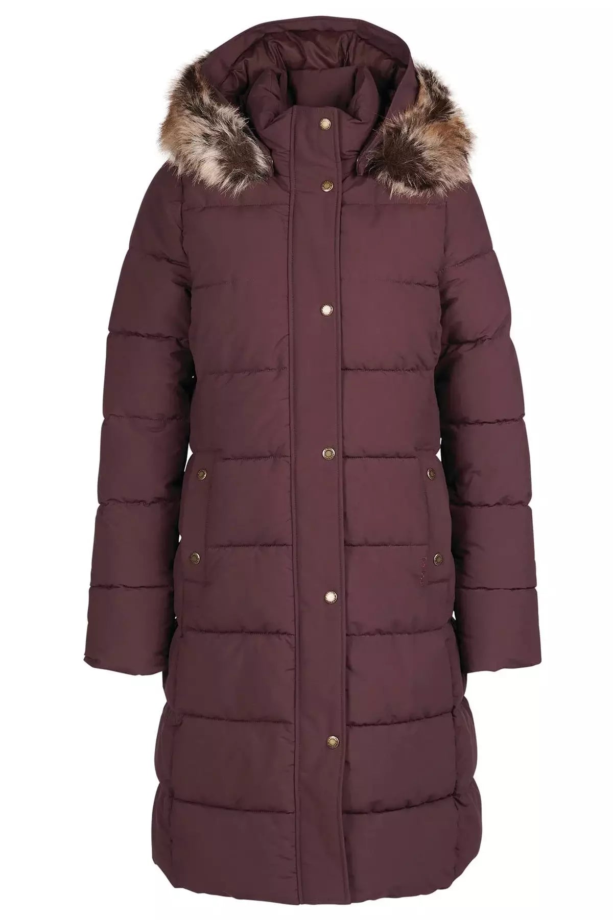 Caldecott joules coat online